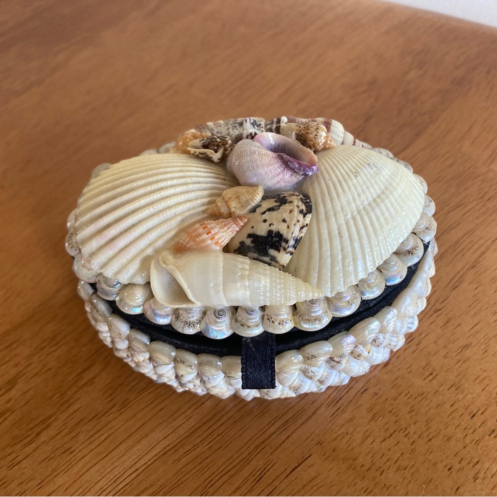 Delicate shell trinket box